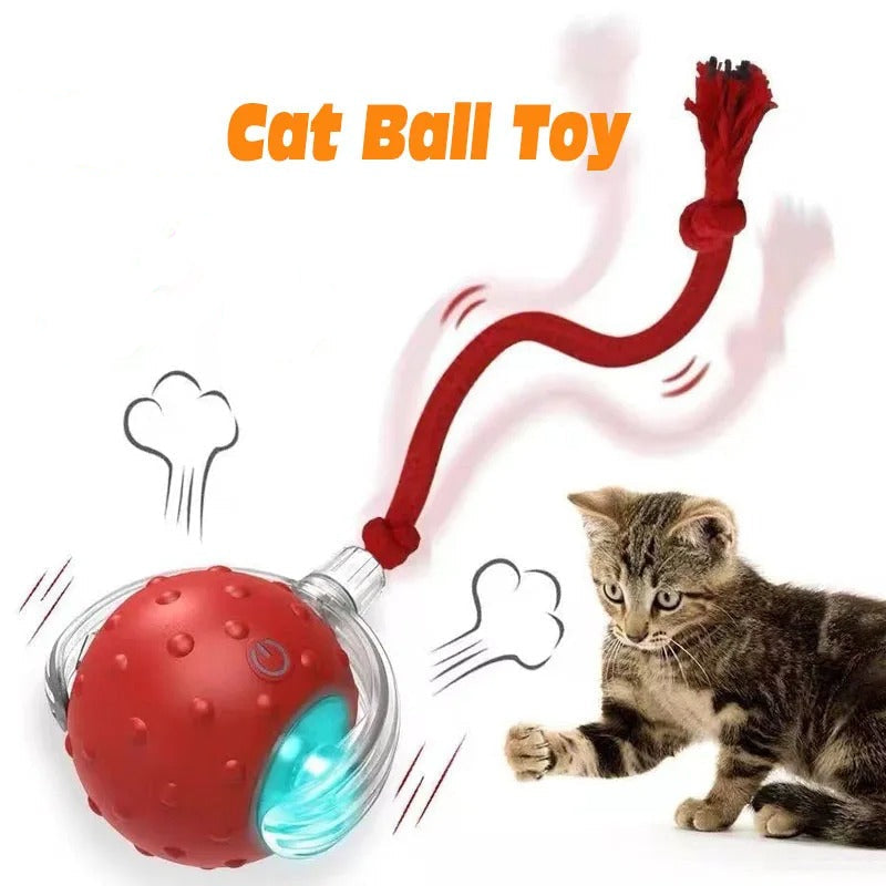 Kitty Bolt™ 2 Pack