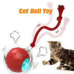 Kitty Bolt™ 2 Pack