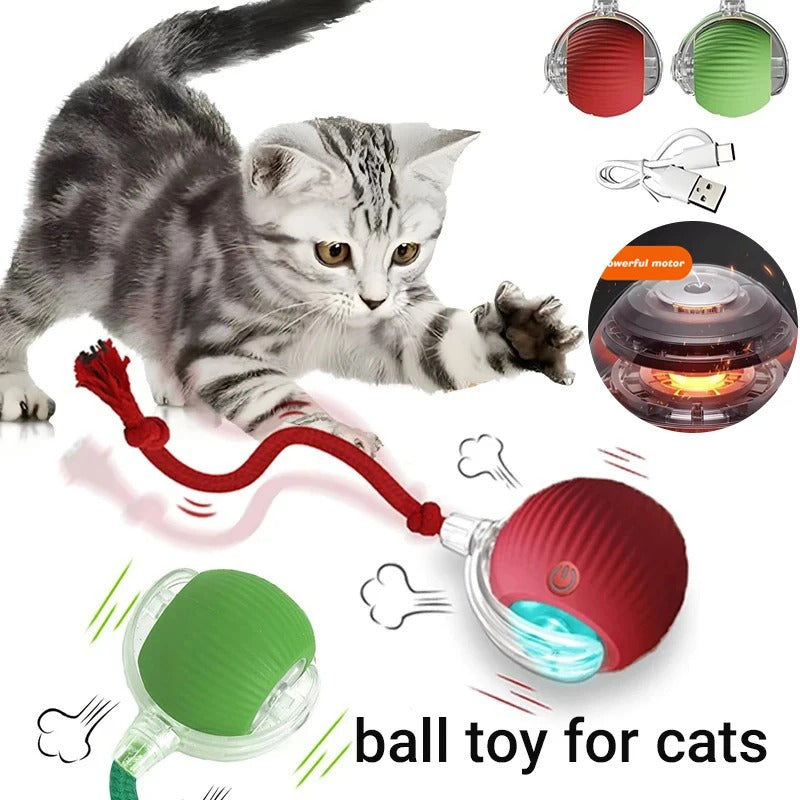 Kitty Bolt™ 2 Pack