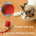Kitty Bolt™ 2 Pack