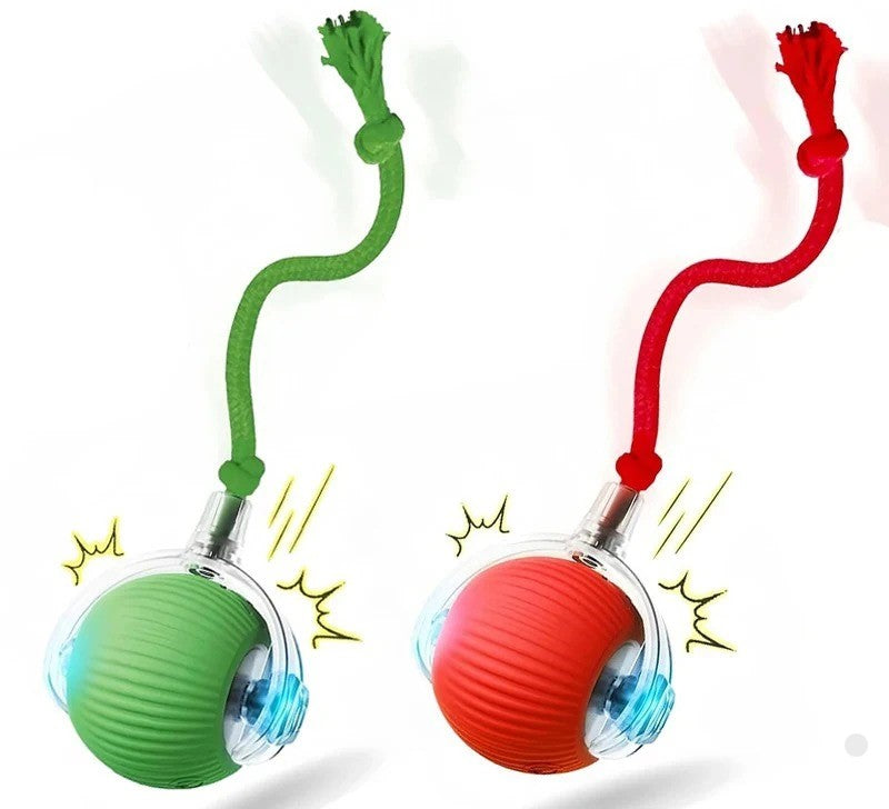 Kitty Bolt™ 2 Pack