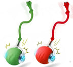 Kitty Bolt™ 2 Pack